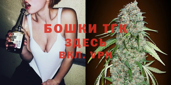 дживик Арсеньев