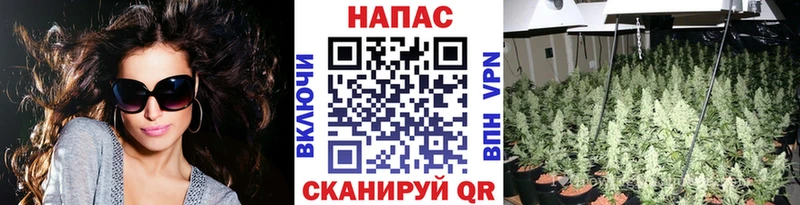 Марихуана семена  где можно купить наркотик  Талица 